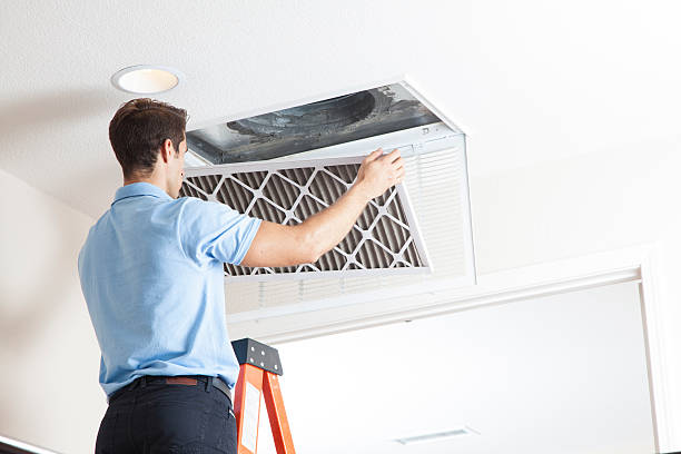 Best HVAC Tune-Up Services  in Fox Lake, WI